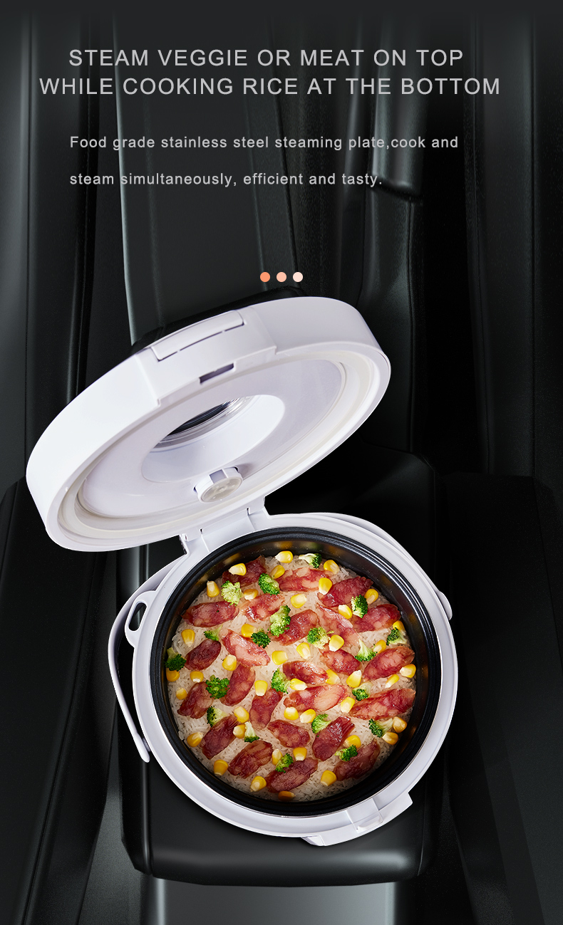24V炊飯器トラック用スープスチーマー加熱式ランチボックスミ - Camping No Cooking Meals のレビューと価格